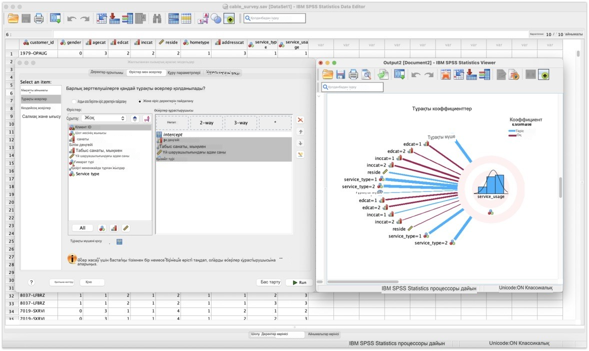 IBM SPSS Statistics: деректерді визуализациялау